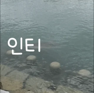 얘들아 나 부산항 상어 보고왔어 (5)