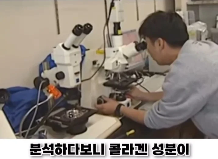 우리나라로 넘어온 바다의 무법자 불가사리의 최후 (21)