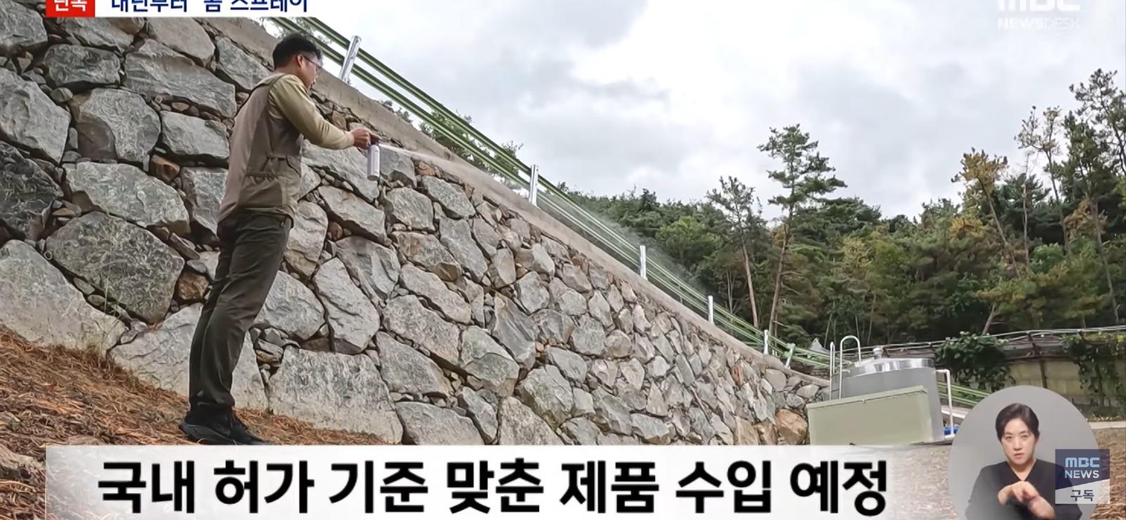 설악산에도 곰 풀어놓자는 전문가들 (8)
