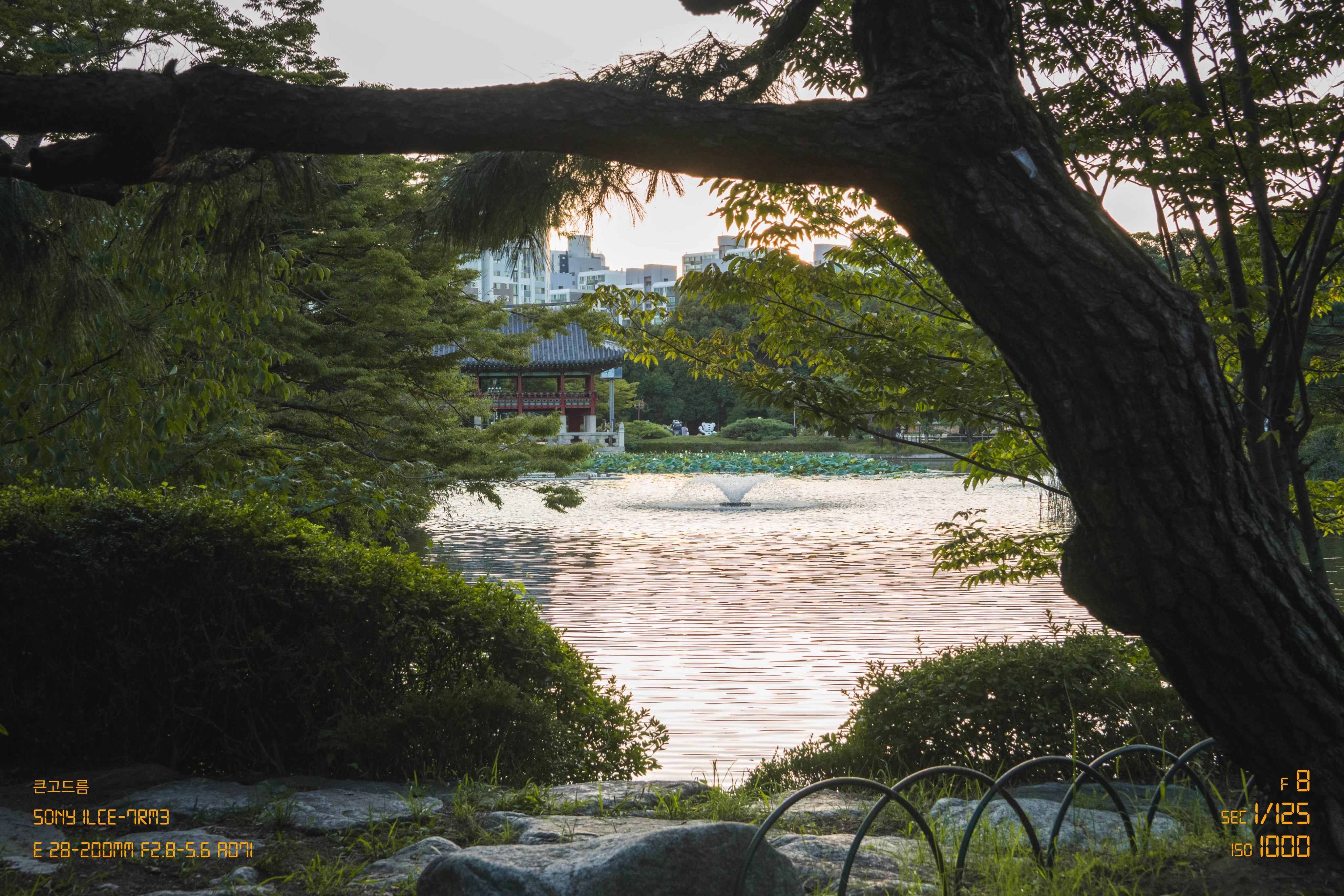 [21p] 가을 노을 (14)