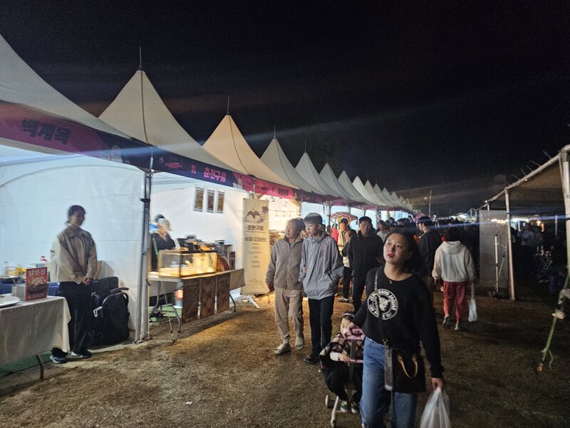 오늘 개막한 춘천 닭갈비 막국수 축제 사진들 (19)