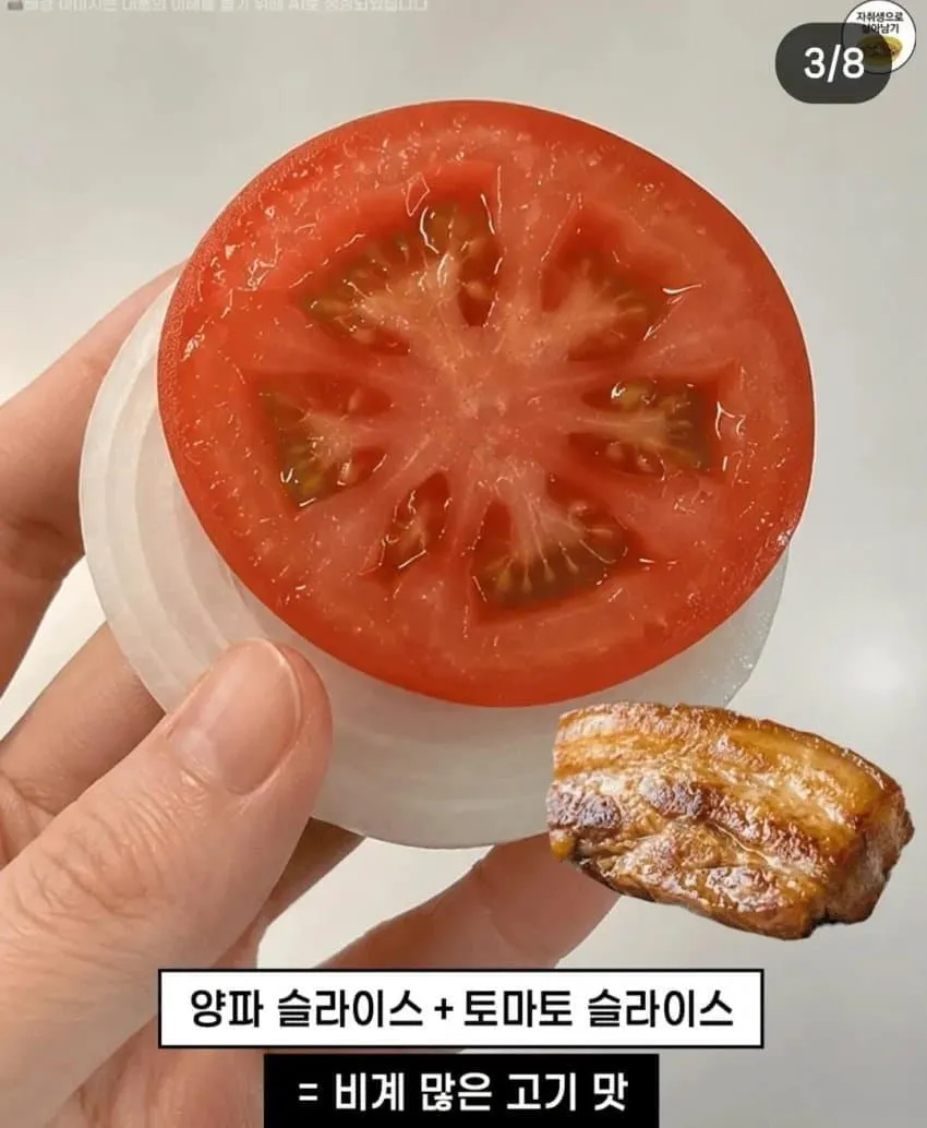 요즘 유행이라는 토마토 김 맛도리 조합 (2)