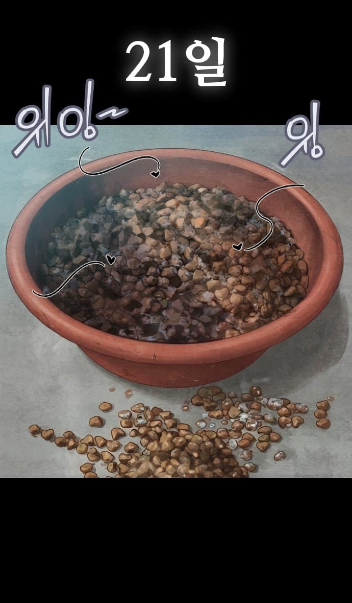 고양이 찬양 하는 만화 (23)