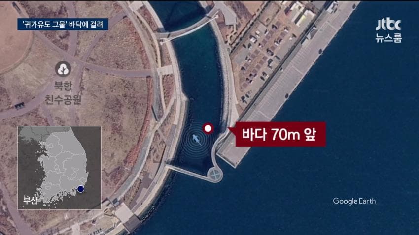 상어 부캉이 구조작업 또 실패…바다 앞서 멈췄다 (15)