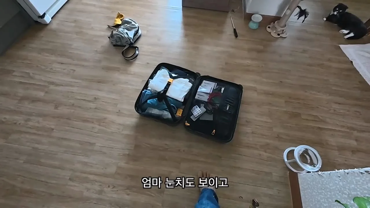 해외여행으로 가진돈 다 써버린 여행 유튜버 근황 (28)