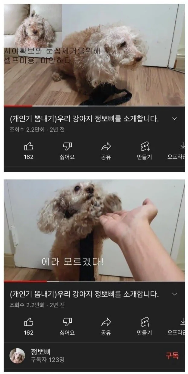 내 기준 봐도봐도 웃긴 댓글 1위 (2)