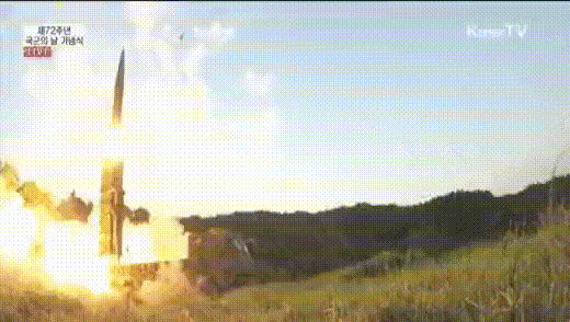01.gif
