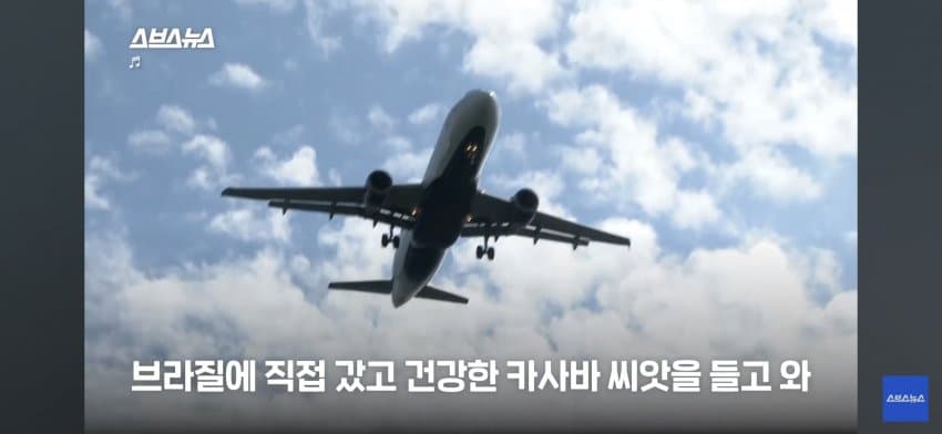 싱글벙글 아프리카 한국인 대추장님 (11)