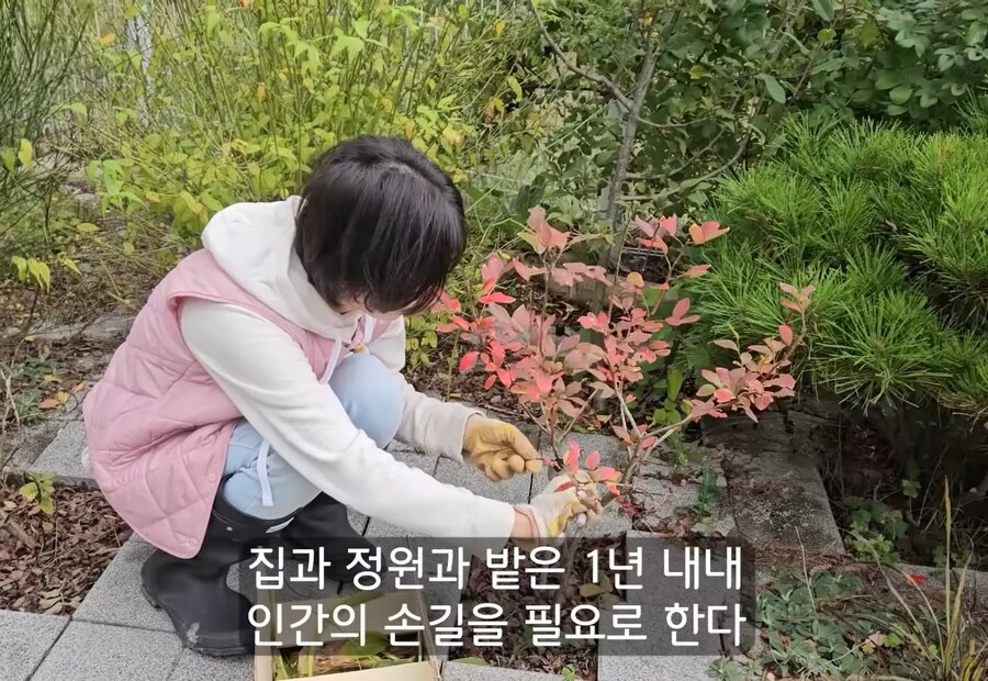 휴식을 위해 '귀촌'을 한 사람들이 깨닫게 되는 현실 (18)