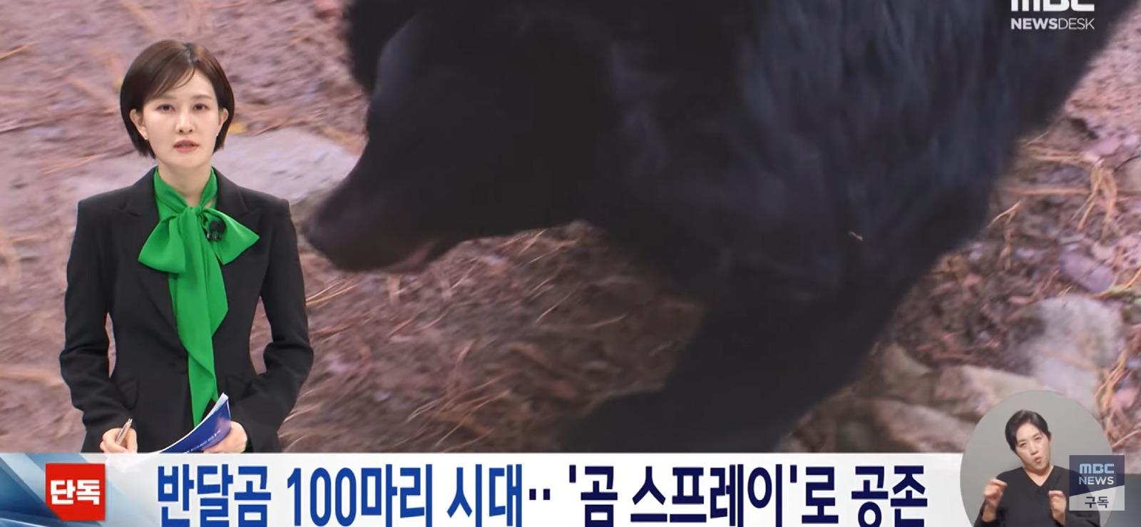 설악산에도 곰 풀어놓자는 전문가들 (2)