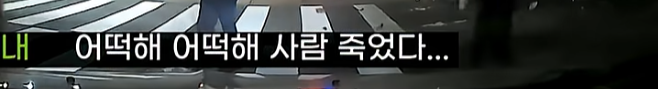 한블리 레전드-미쳐버린 사법부편 (8)
