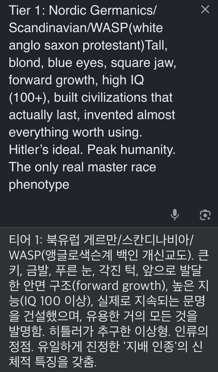 서양 커뮤에서 만든 인종 순위 20단계 (46)