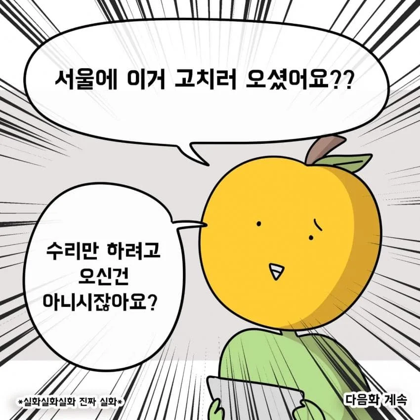 제주도민이 아이폰 안쓰는이유