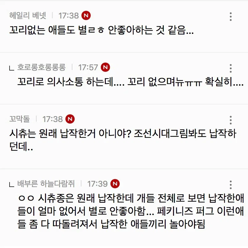 코 납작한 강쥐는 강아지들 사이에서 진짜 왕따.. (4)