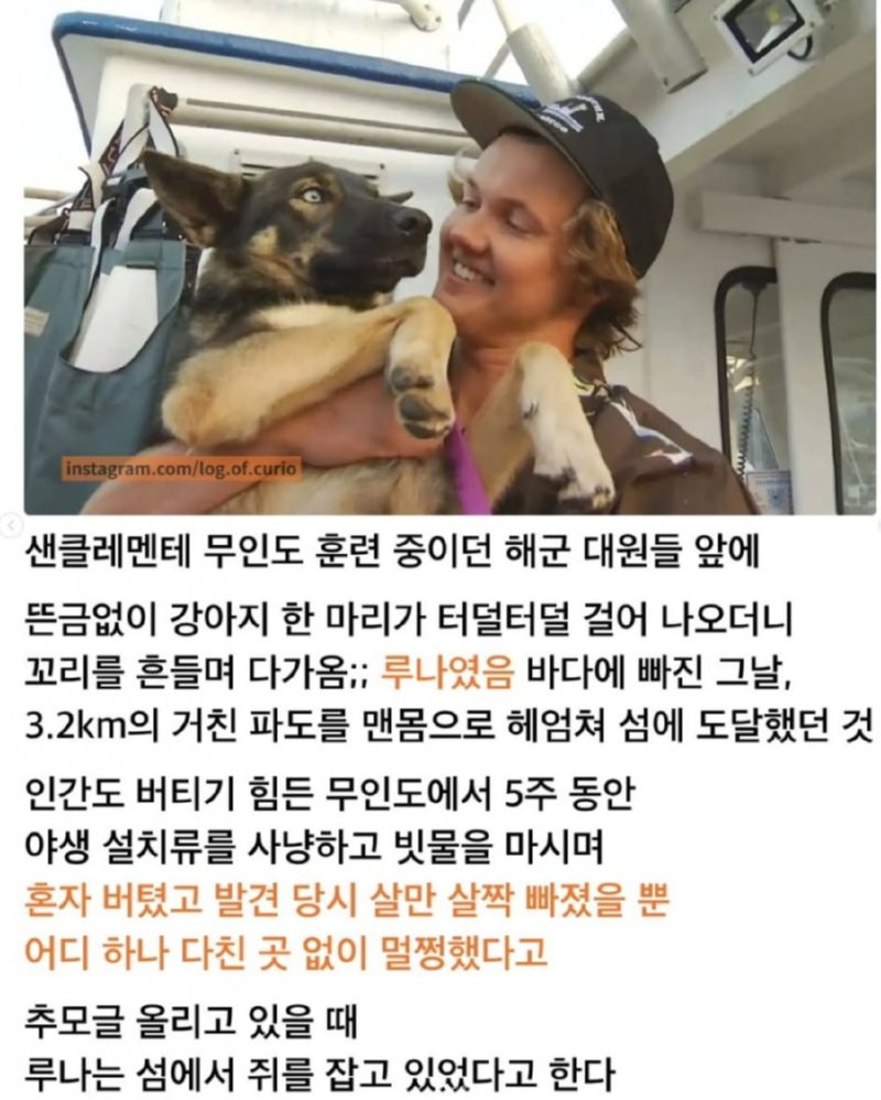 개스트 어웨이2.png