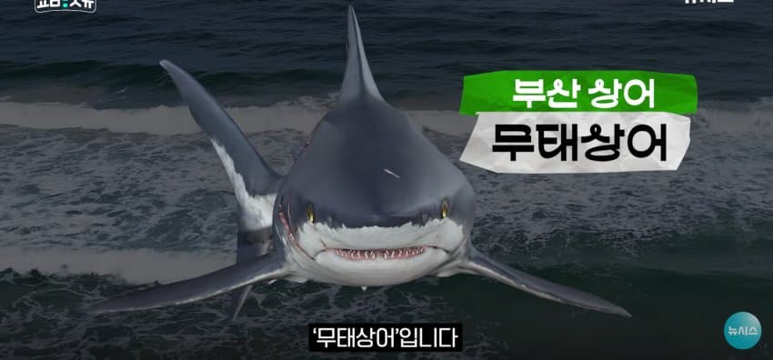 상어 한마리에 3만명 몰려, 부산 명소가 된 북항 (17)