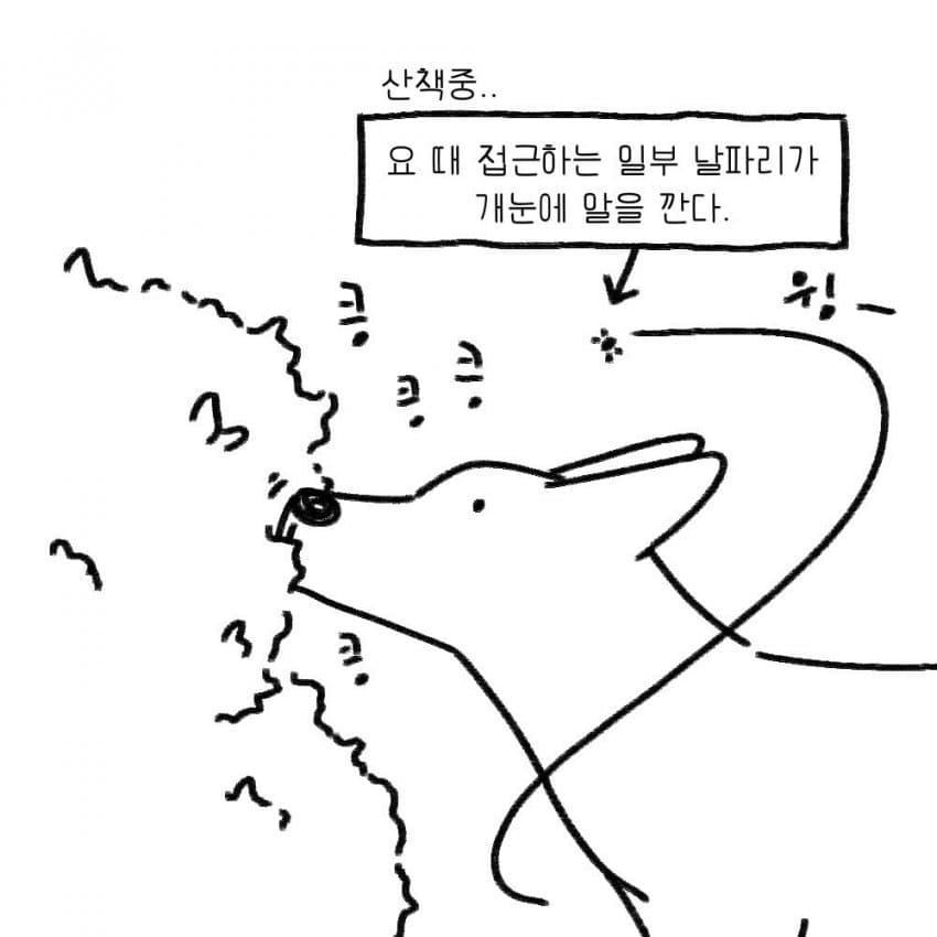 싱글벙글 강아지를 키우기 전 했던 생각.manhwa (6)