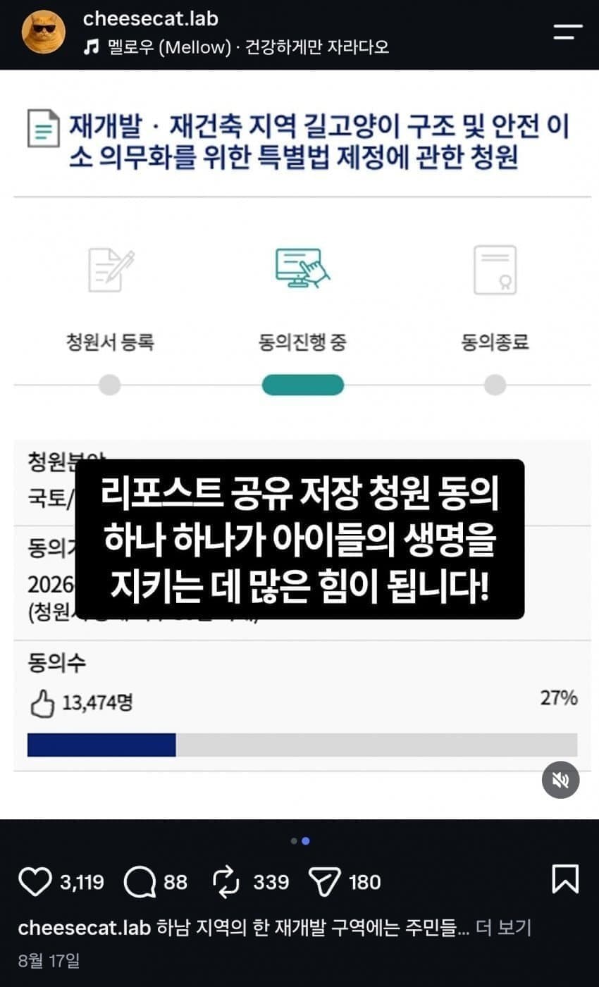 앞으로 재개발 하려거든 지역 고양이 전부 구조하라는 캣맘 (2)