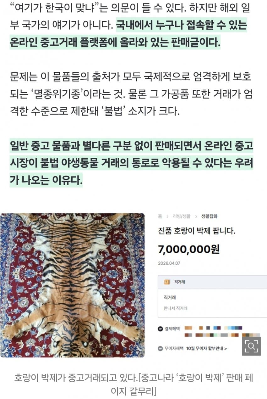 “여기가 한국 맞아?” 진짜 호랑이 ‘700만원’에 대놓고 거래 (5)