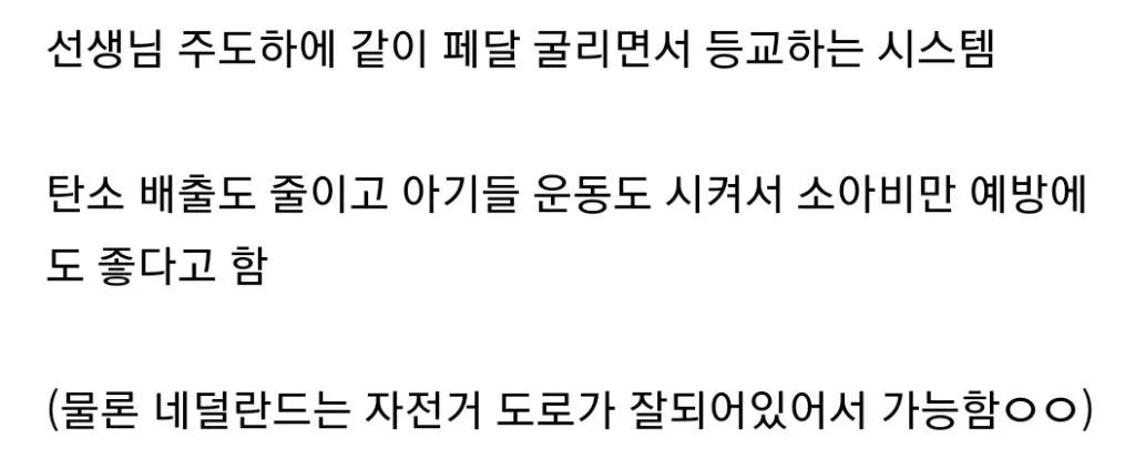 네덜란드 초딩들 스쿨버스.jpg