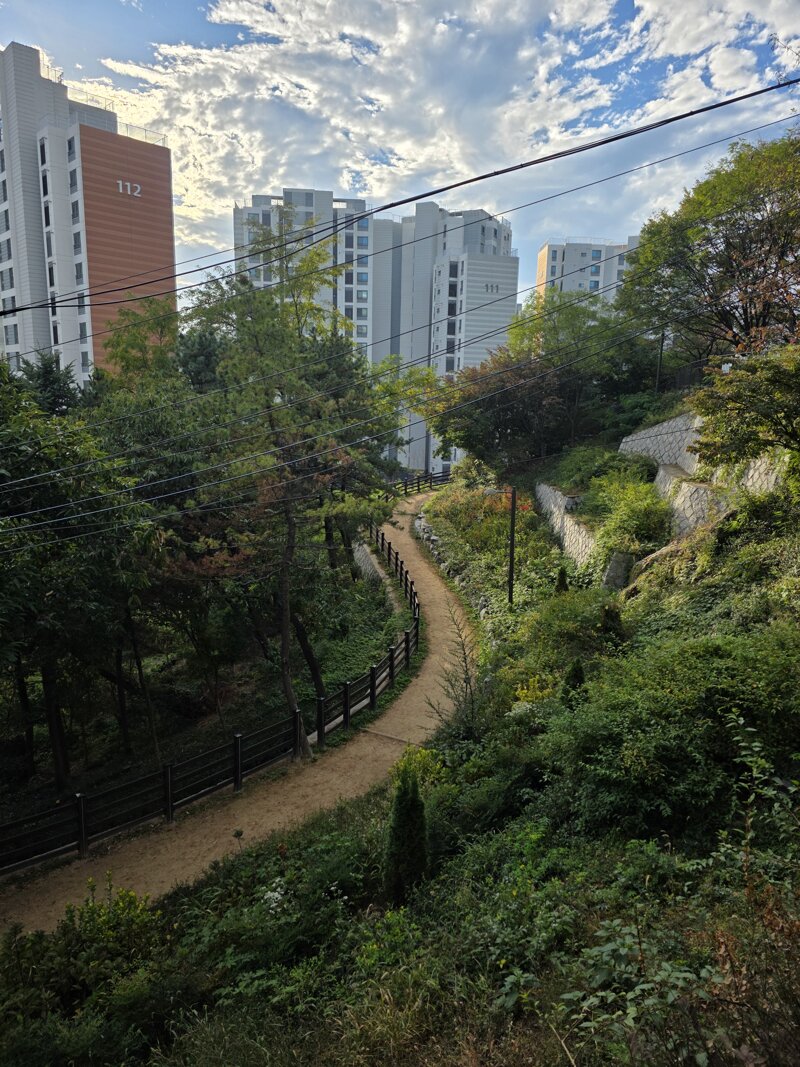 서울에서 남산타워,롯데타워를 볼수있는 공원 (10)