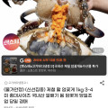 [지마켓]제철 활 암꽃게 1kg 3~4미 (29,940원/무료)