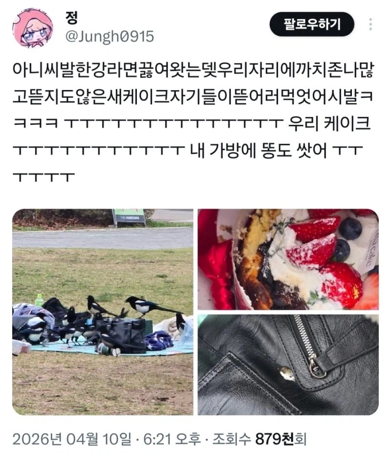 한강에서 패거리로 몰려와 남의 음식을 강탈하는
