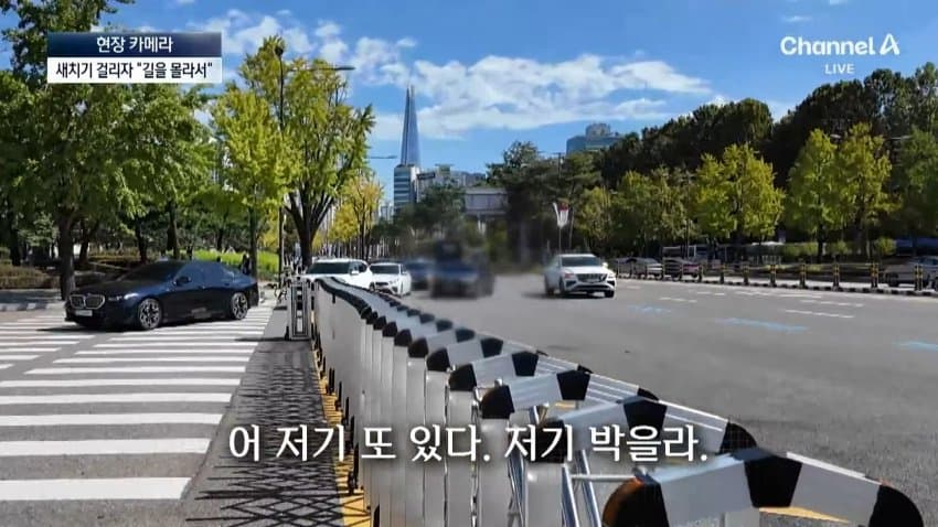 채널a) 차 머리부터 '쑥'..야구장 앞 얌체들 (26)