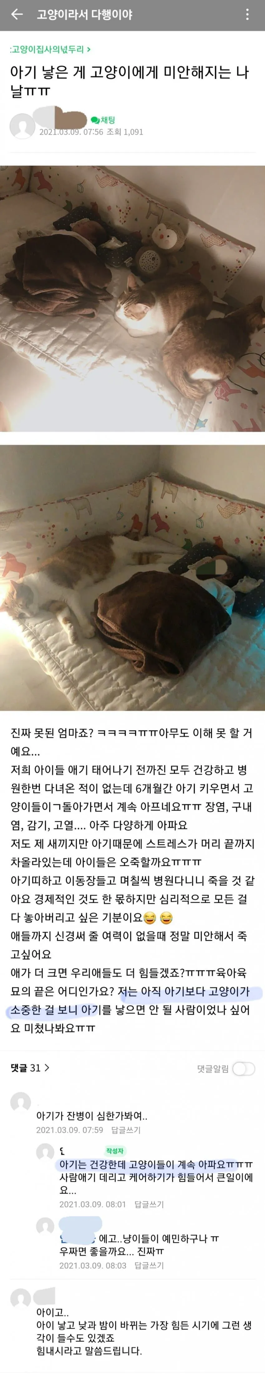 아기 낳았는데 고양이가 더 소중해