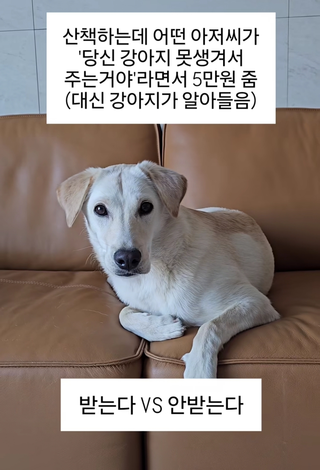 JiEMBy