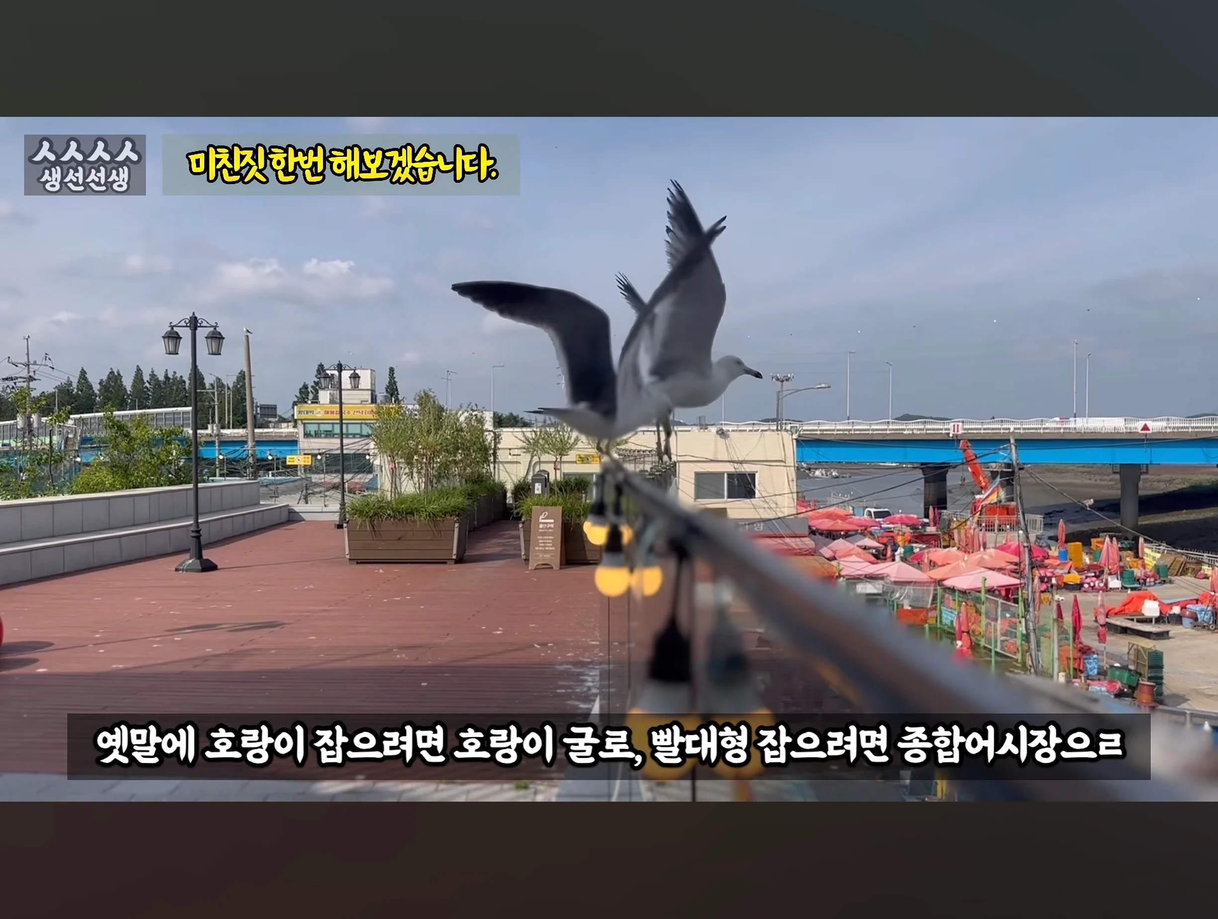 스압주의) 대게 구입 잘못했다가 미쳐버린 유튜버 (41)