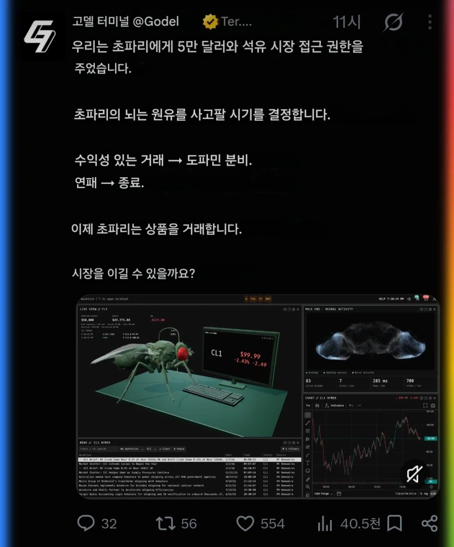 초파리 근황 (6)