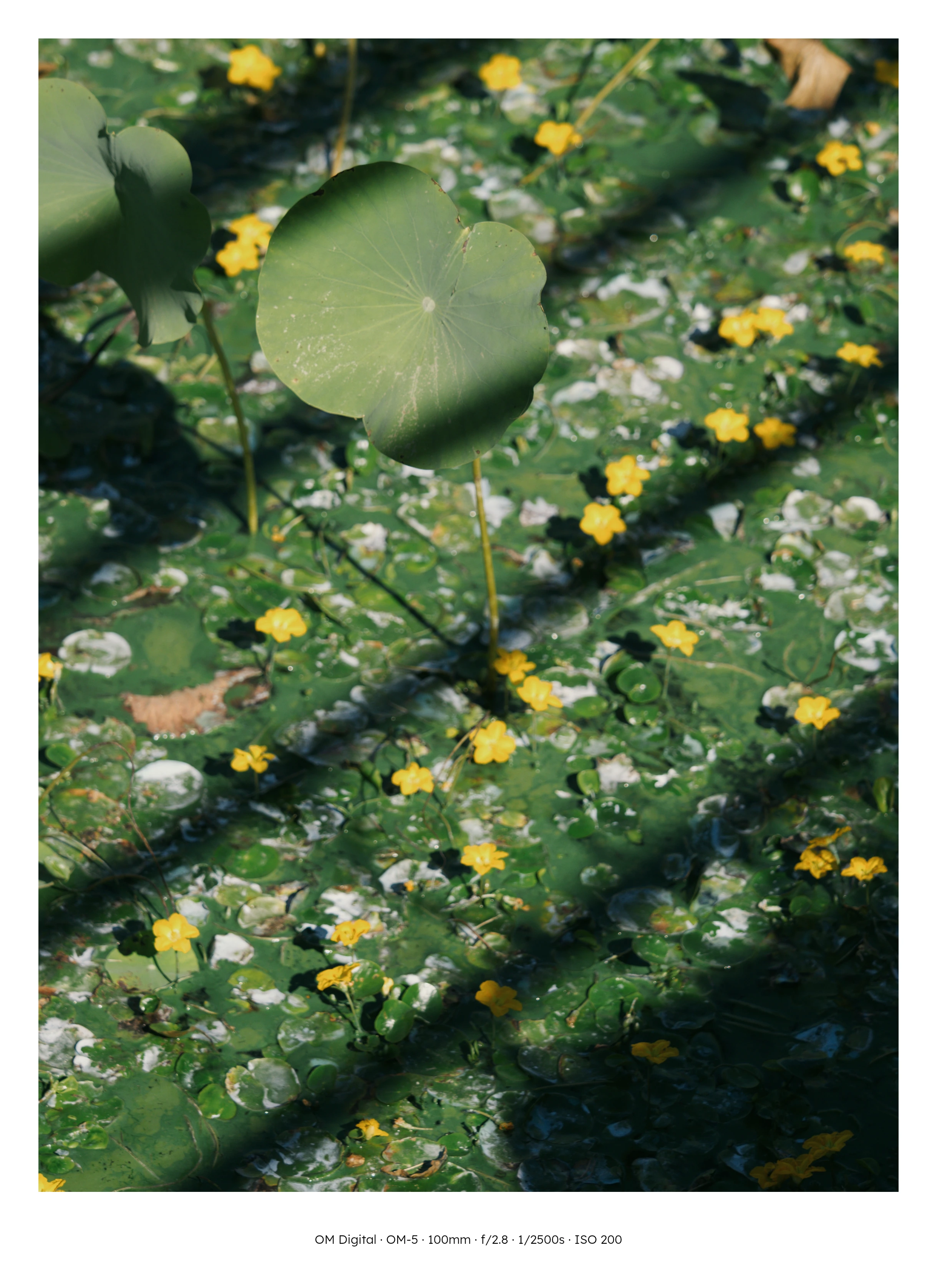 3분기 사진 정산 . webp (39)