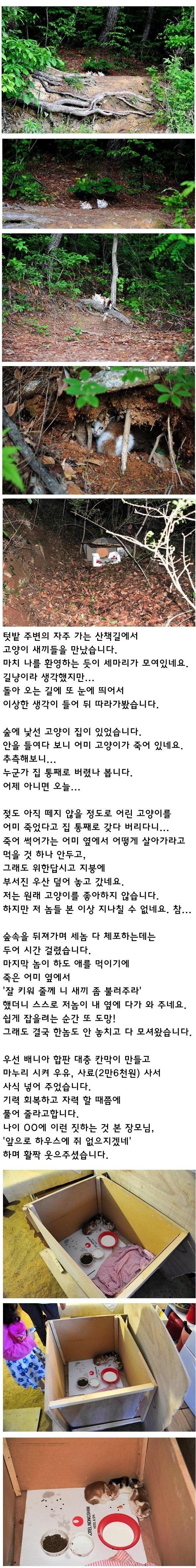 01.jpg