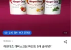 하겐다즈 아이스크림 파인트 5개 골라담기
