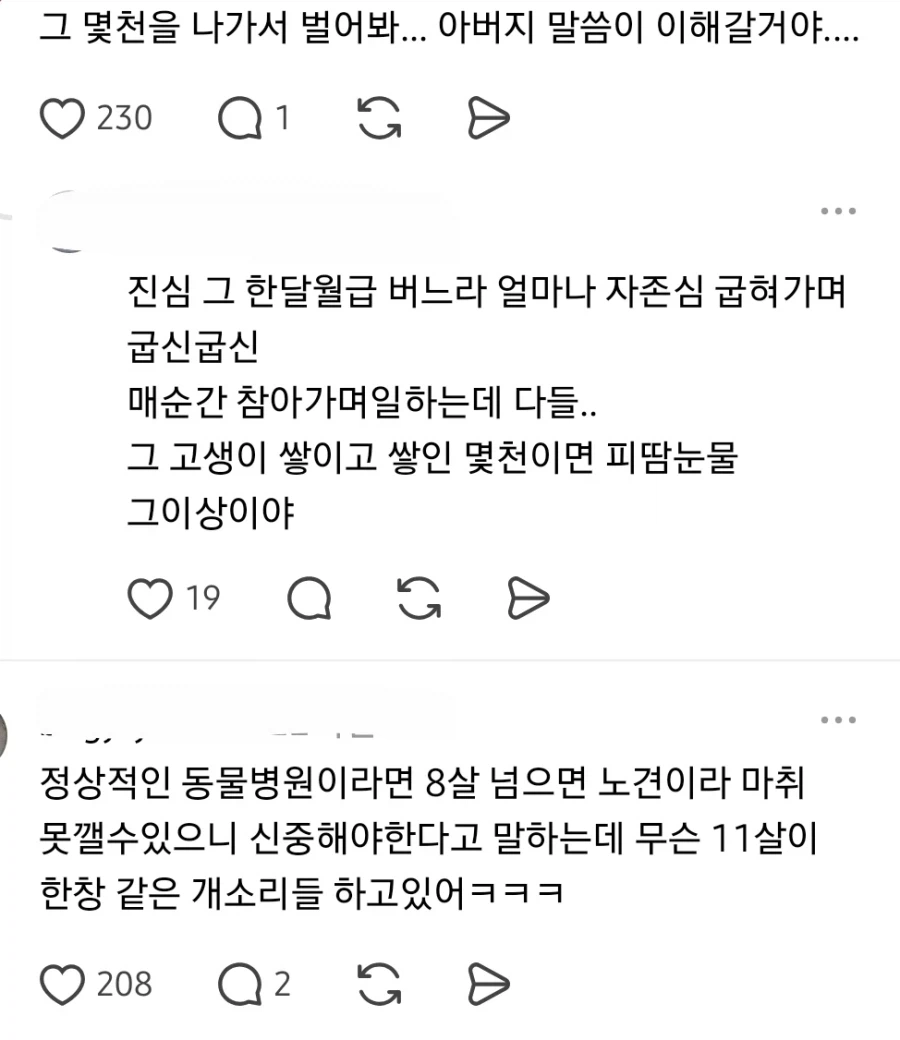 노견 수천만원드는 수술은 안시킨다는 아버지 (2)