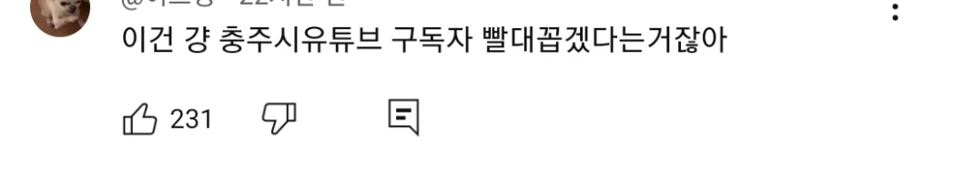 충주시 유튜브가 버젓이 있는데 굳이 개인 유튜브 만들어서 말이 많은 이번에 당선된 충주시장 (4)