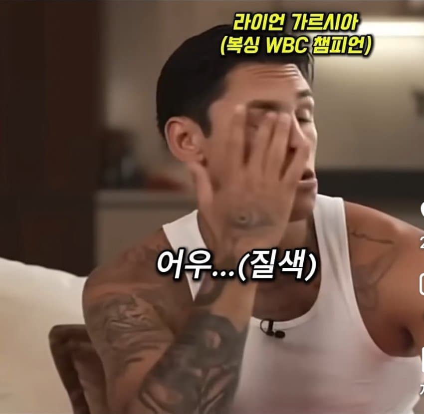 싱글벙글 MMA에 벽 느꼈다는 복싱 세계 챔피언 (4)