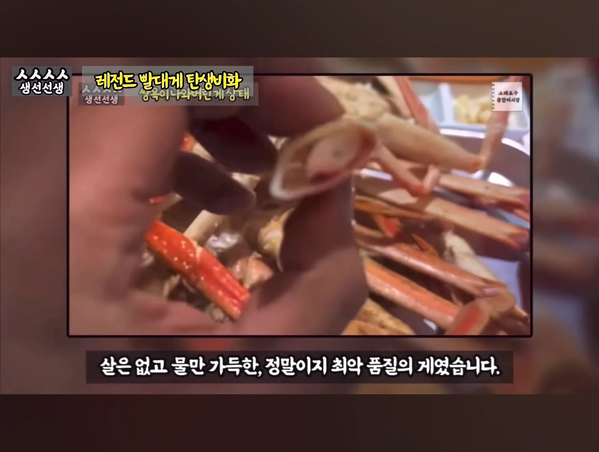 스압주의) 대게 구입 잘못했다가 미쳐버린 유튜버 (10)