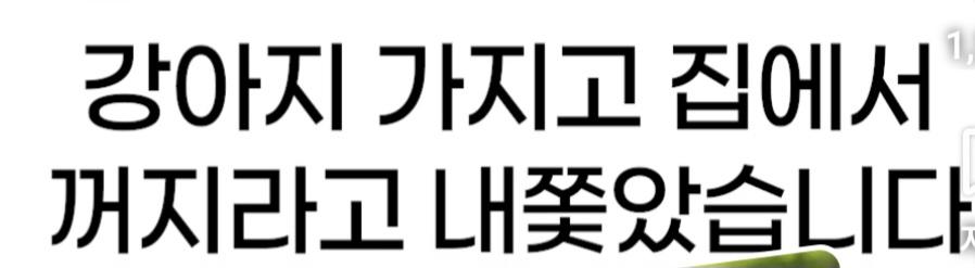 처제의 시바를 뒤지게 팼습니다 (15)