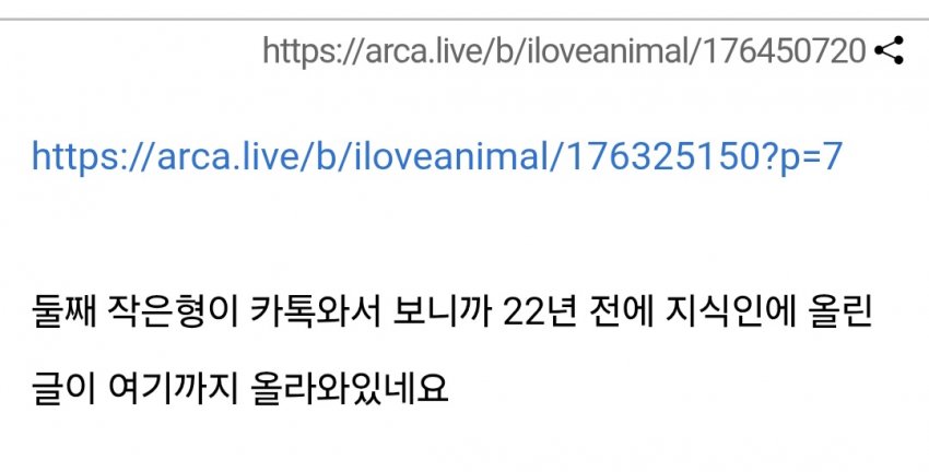 형에게 장난감 취급 당했다는 남동생들 (12)
