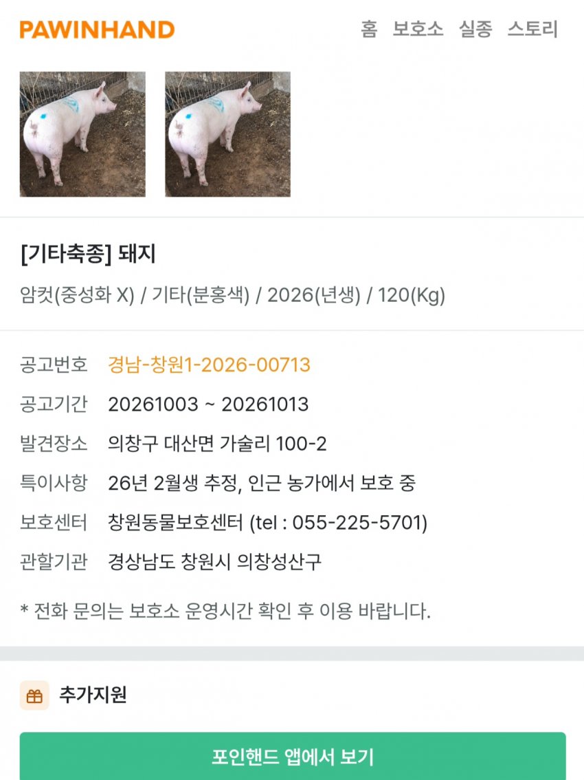 싱글벙글 의외로 품종묘 보다 포인핸드 입양률이 높다는 동물 (2)