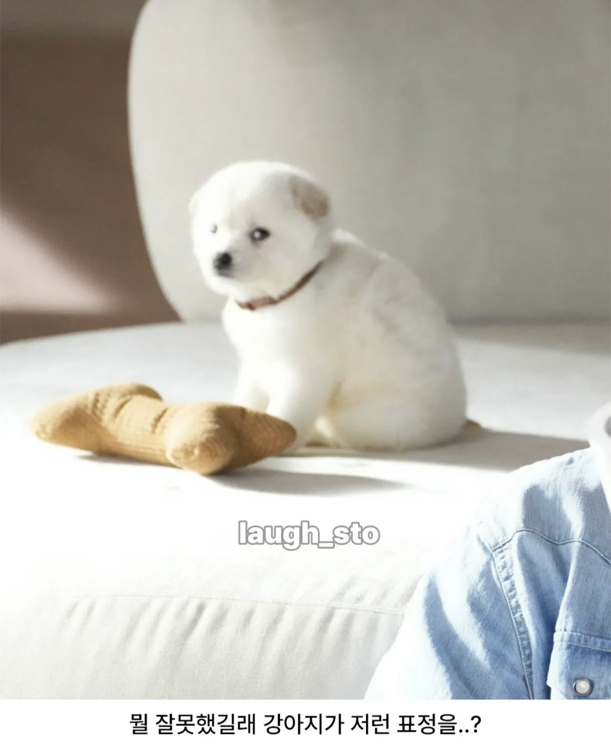 뭔진 몰라도 박보검이 큰 잘못을한듯.. (2)