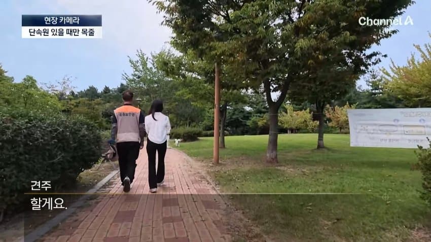 채널a) 단속원 퇴근하자...공원이 '개판' (14)