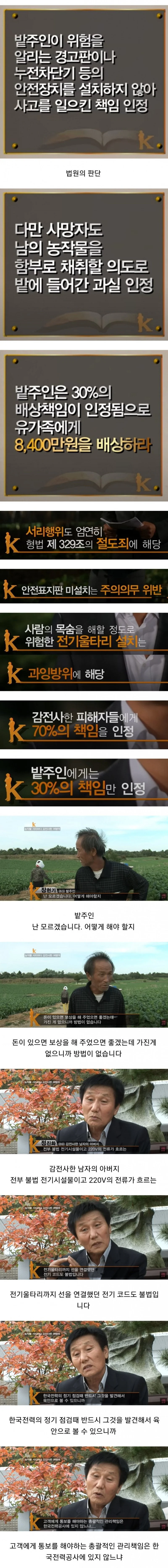 배추 서리로 인해 인생이 망가진 사람들 (3)