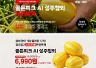 [롯데마트] 성주참외 사전 예약 오늘이 마지막 ( ~11일 )