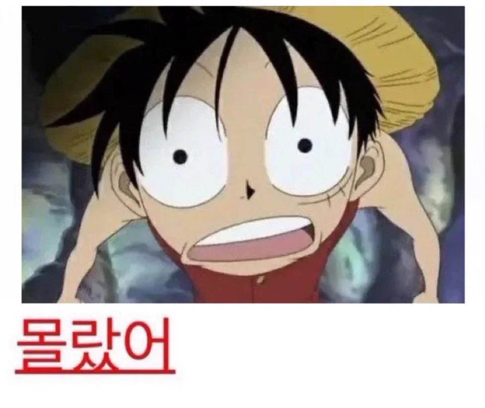 60만원짜리 루이비통 여권지갑을 사는 이유 (2)