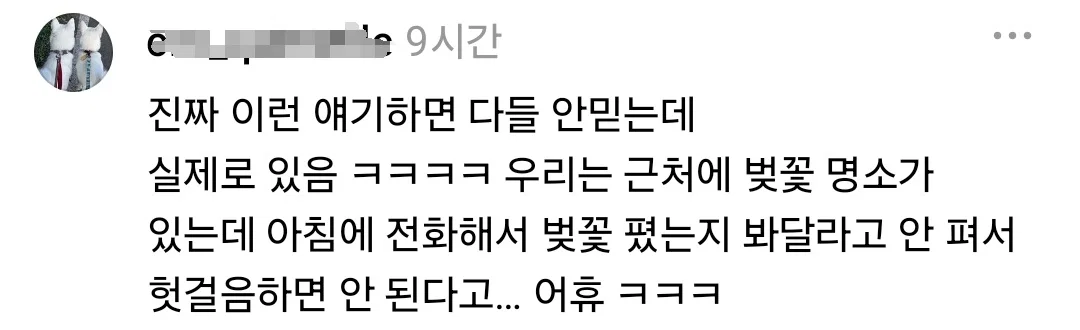 근처 카페에 가방을 두고 왔으니 가서 좀 찾아봐달라는 전화를 받은 만두집 사장님 (15)