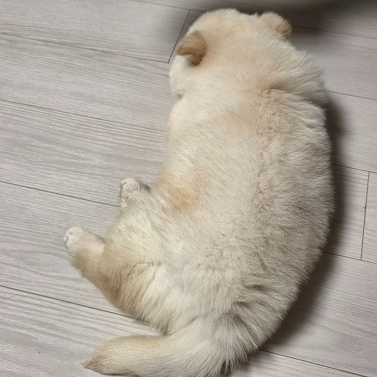 NanTbp