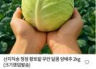무안 달콤 양배추 2kg